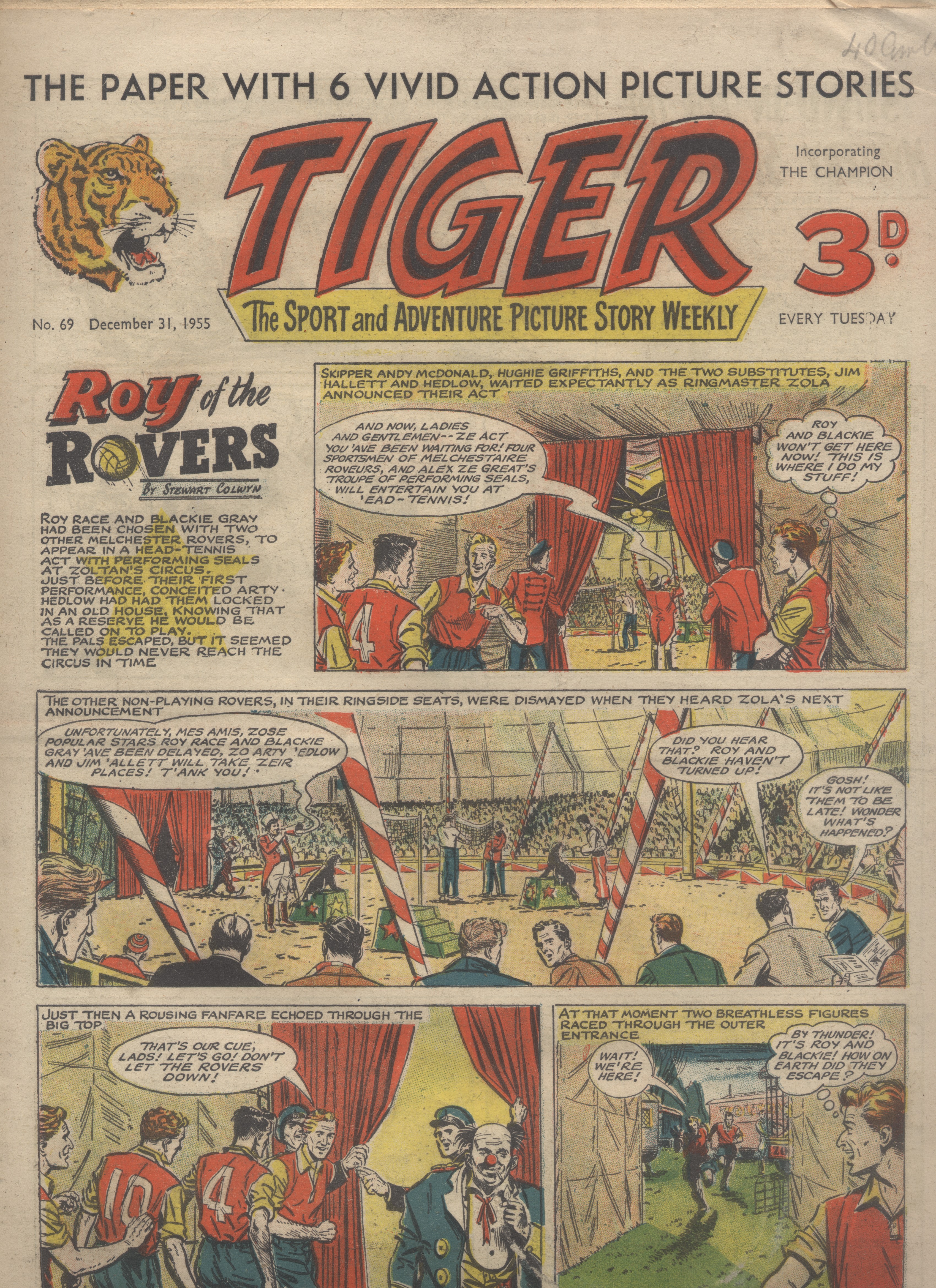 Tiger